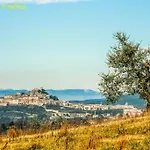 By Casamerina, In Town Of With Private Garden, Pool And Sauna Narni