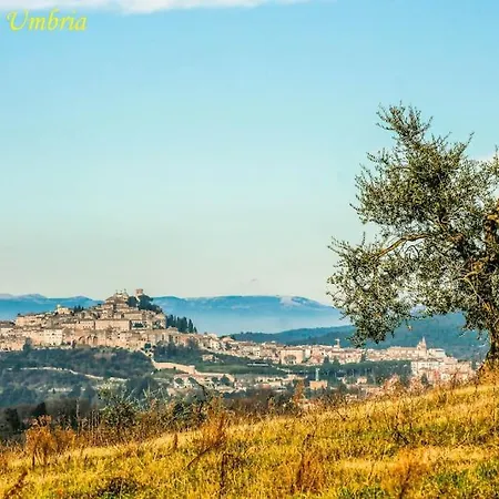 By Casamerina, In Town Of With Private Garden, Pool And Sauna Narni